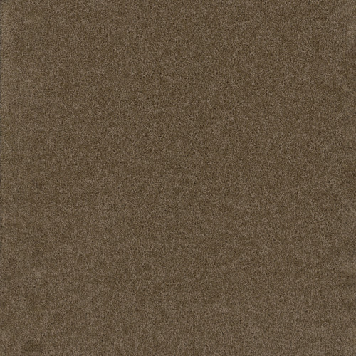 BROADCAST PLUS - Balsam