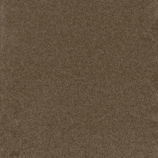 BROADCAST PLUS - Balsam BROADCAST PLUS - Balsam
