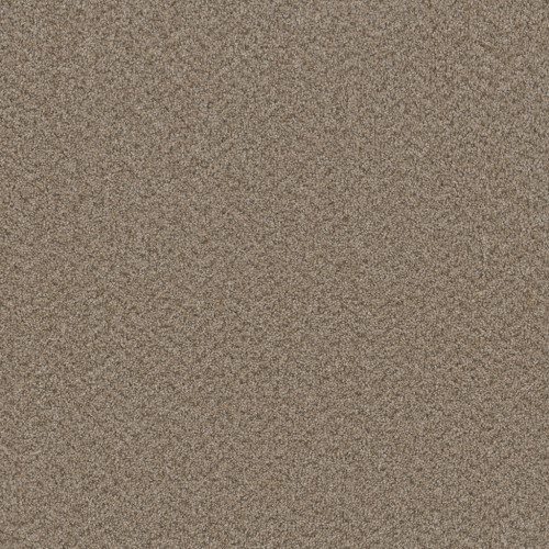 BROADCAST PLUS - Almond