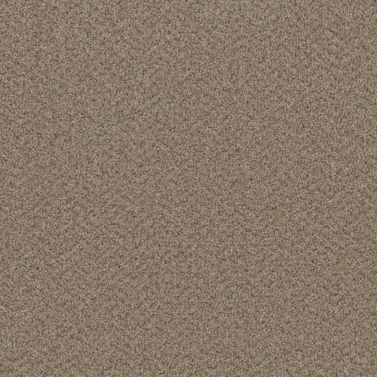 BROADCAST PLUS - Almond BROADCAST PLUS - Almond
