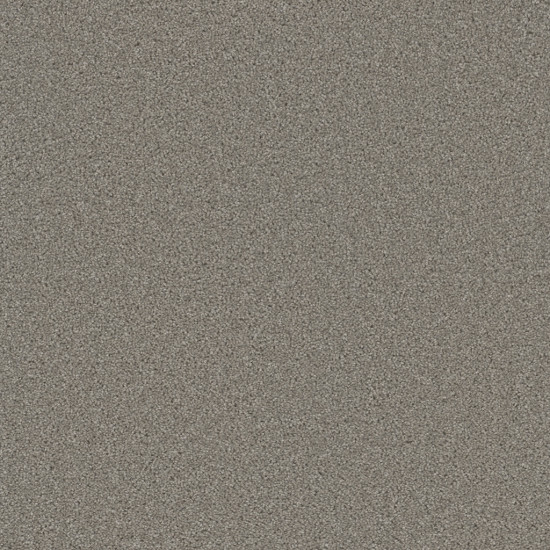 BROADCAST PLUS - Silver Birch BROADCAST PLUS - Silver Birch