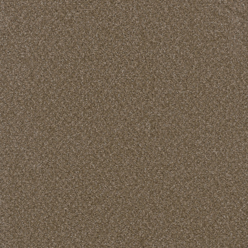 BROADCAST PLUS - Chestnut