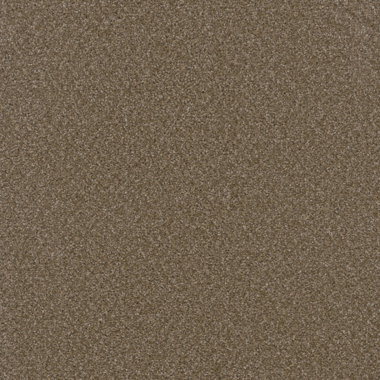 BROADCAST PLUS - Chestnut BROADCAST PLUS - Chestnut