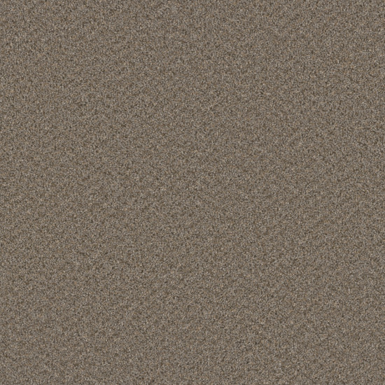 BROADCAST PLUS - Cinder BROADCAST PLUS - Cinder