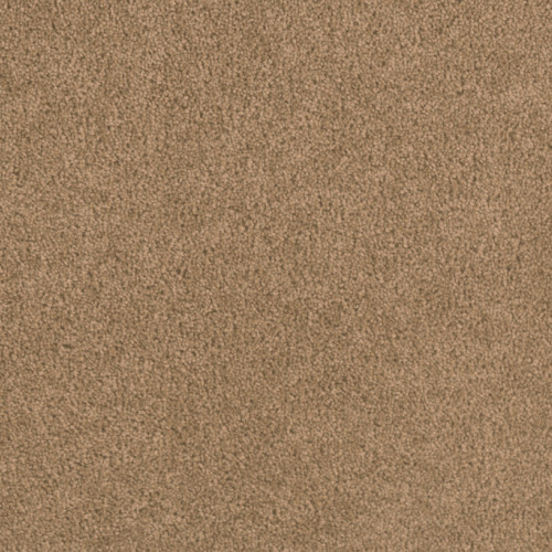 SHOWTIME - Honey Beige