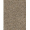 CONFETTI III - Harmonic Tan