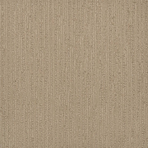 SURFSIDE - Golden Glade