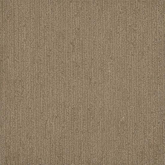 SURFSIDE - Tanglewood SURFSIDE - Tanglewood