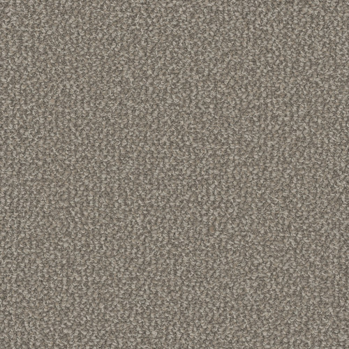 INTERSTELLAR - Cactus