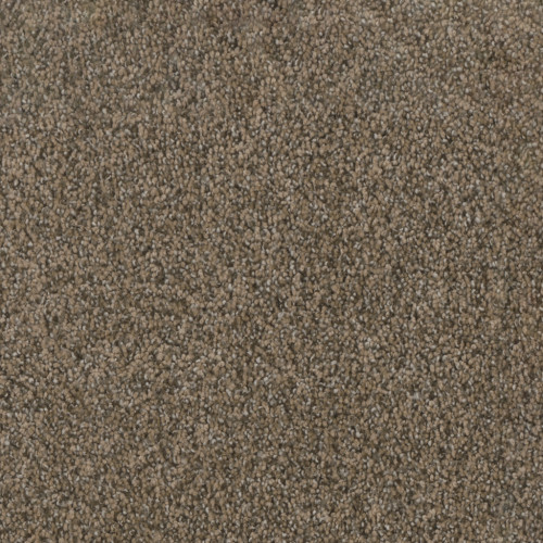 TRENDSETTER I - Smokey Taupe
