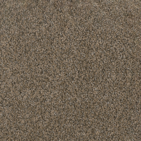 TRENDSETTER I - Smokey Taupe TRENDSETTER I - Smokey Taupe