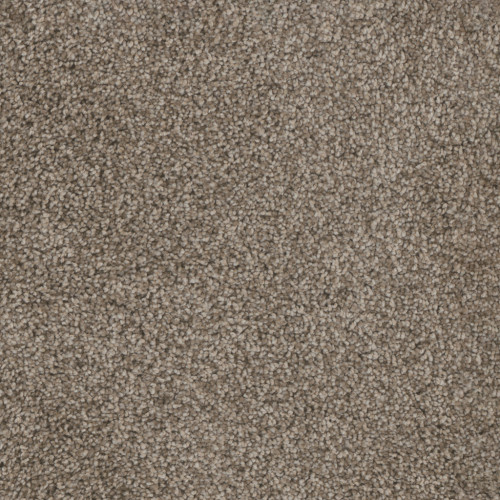 TRENDSETTER I - Soft Tan