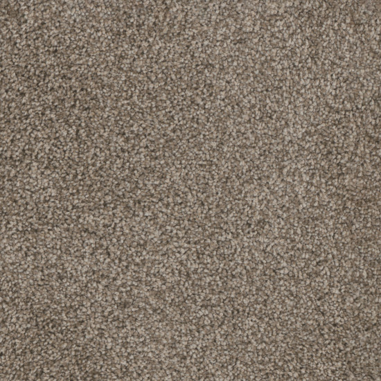 TRENDSETTER I - Soft Tan TRENDSETTER I - Soft Tan