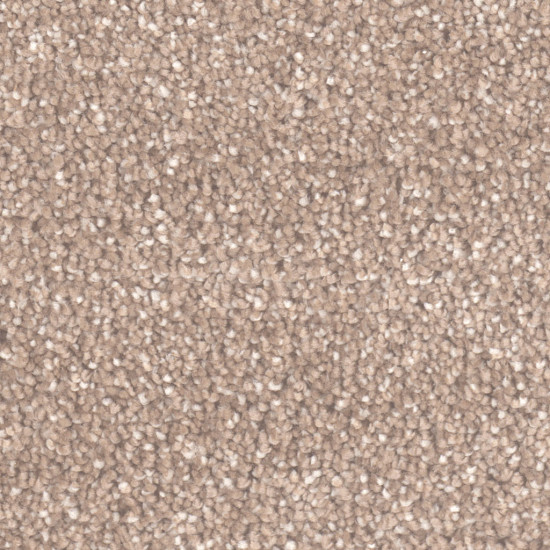 STAR STRUCK - Acorn STAR STRUCK - Acorn