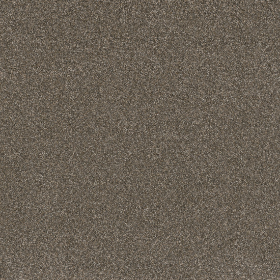 GOLD STANDARD III - Pewter GOLD STANDARD III - Pewter