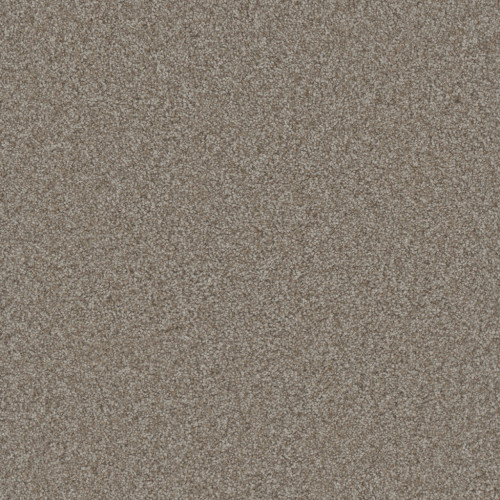 GOLD STANDARD III - Alloy