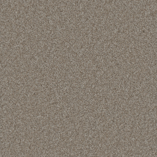 GOLD STANDARD III - Alloy GOLD STANDARD III - Alloy