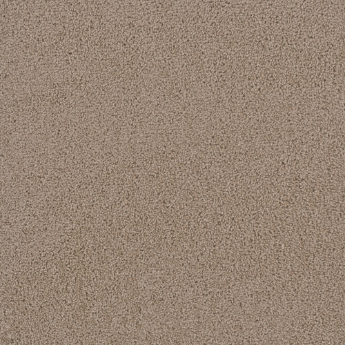 FIRST STEP - Doeskin