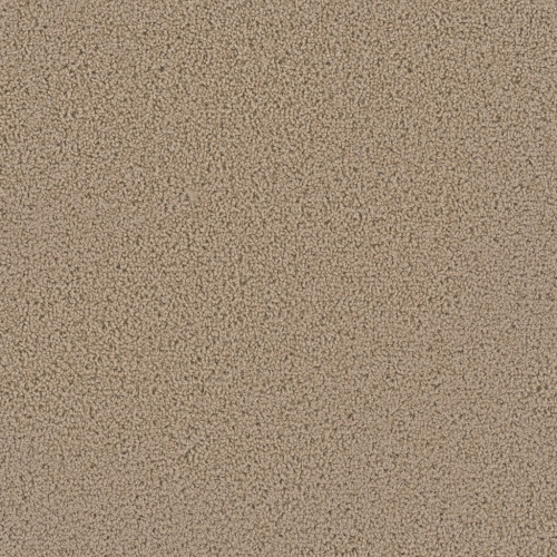 FIRST STEP - Satinwood