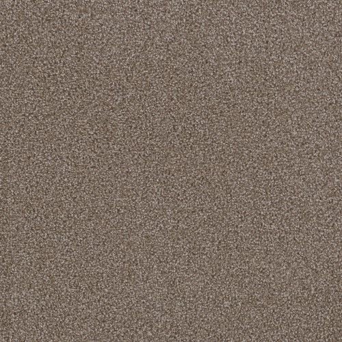 FIRST STEP - Silvery