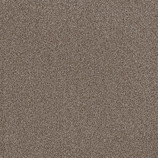 FIRST STEP - Silvery FIRST STEP - Silvery