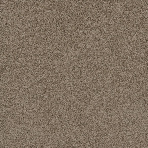 LAVISH I - Taupe