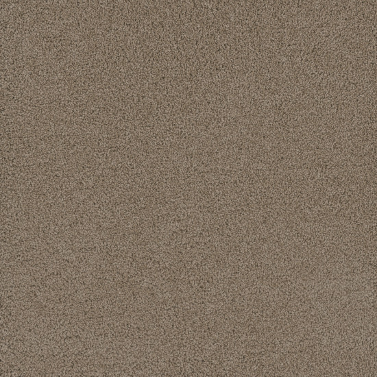 LAVISH I - Taupe LAVISH I - Taupe