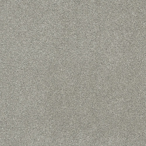 ROCK SOLID I - Dove