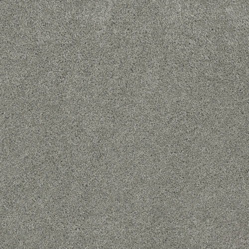 ROCK SOLID I - Shamrock