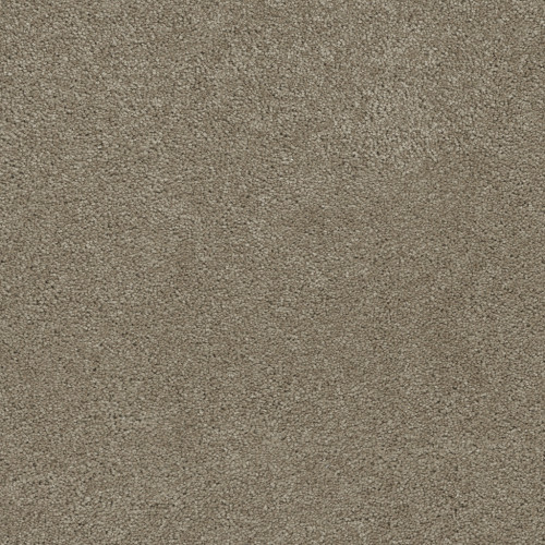 ROCK SOLID II - Cashew