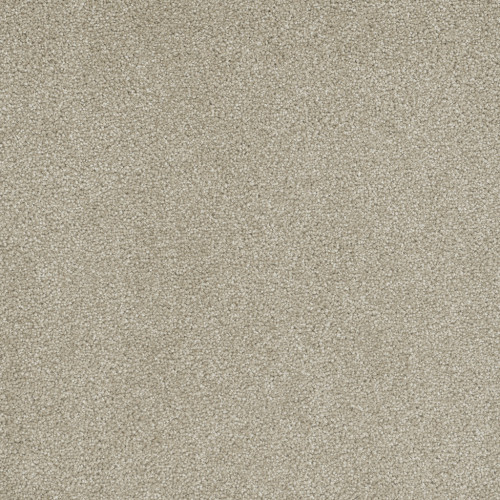 ROCK SOLID II - Cream