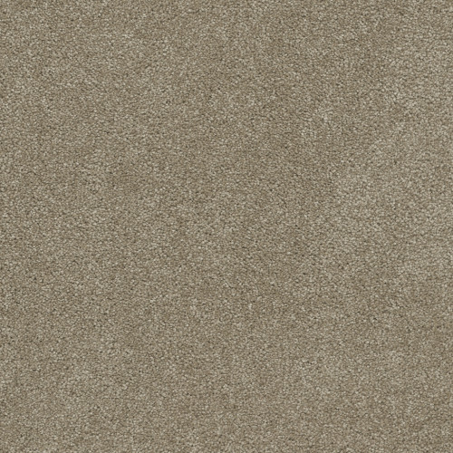 ROCK SOLID II - Buff