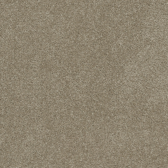 ROCK SOLID II - Buff ROCK SOLID II - Buff