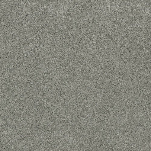ROCK SOLID II - Shamrock