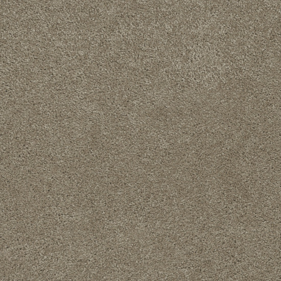 ROCK SOLID III - Cashew ROCK SOLID III - Cashew