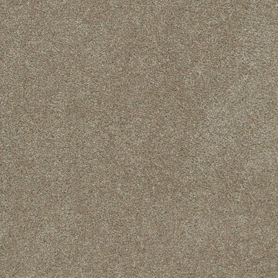 ROCK SOLID III - Buff ROCK SOLID III - Buff