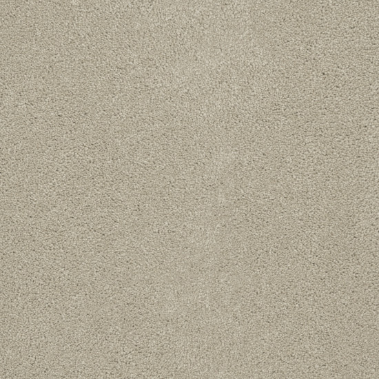 ROCK SOLID III - Ivory ROCK SOLID III - Ivory