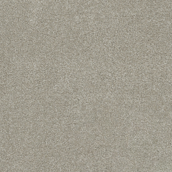 ROCK SOLID III - Parchment ROCK SOLID III - Parchment