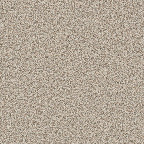CAN'T MISS - Stucco