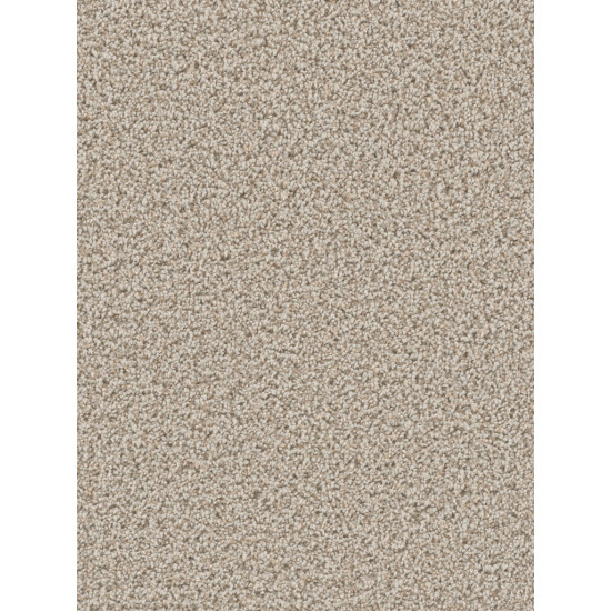 CAN'T MISS - Stucco CAN'T MISS - Stucco