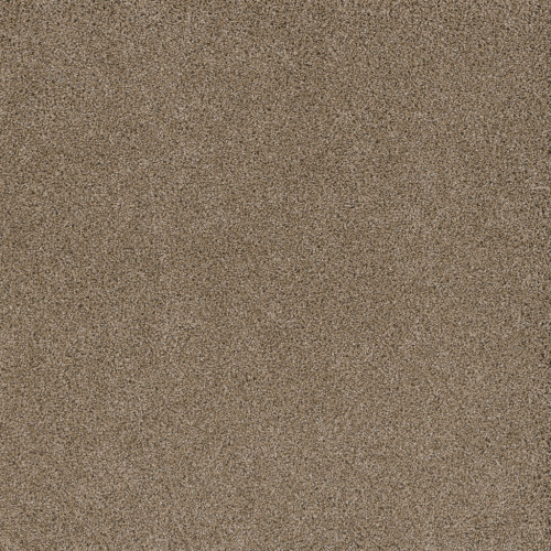 STUNNING - Straw