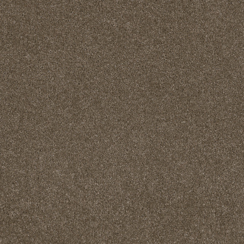 STUNNING - Peppercorn