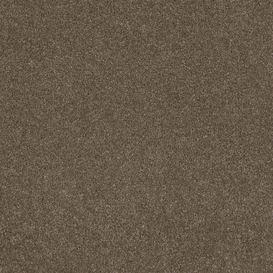 STUNNING - Peppercorn STUNNING - Peppercorn