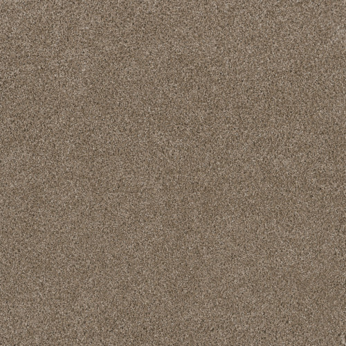 STUNNING - Tumbleweed