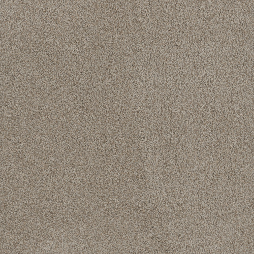 STUNNING - Stucco