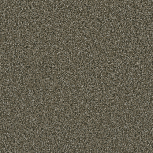 DAZZLING - Peppercorn
