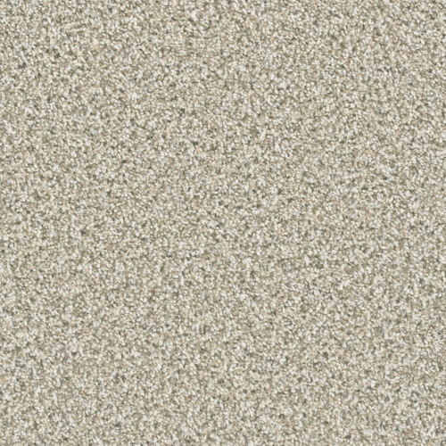 DAZZLING - Seashells