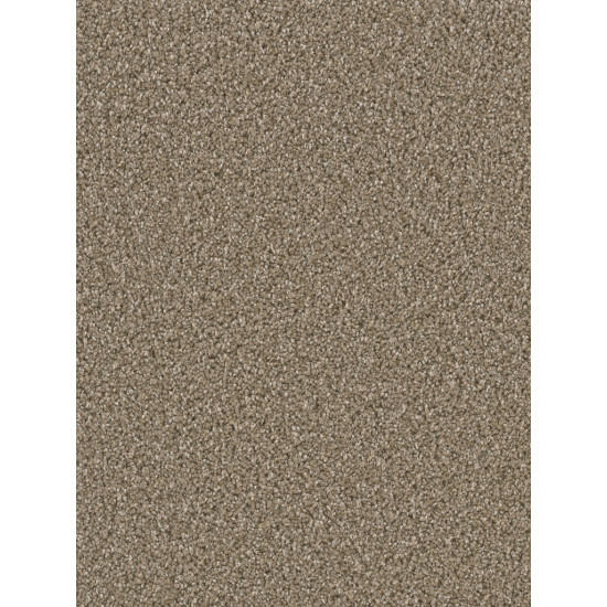 DAZZLING - Acorn DAZZLING - Acorn