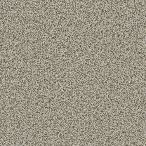 DAZZLING - Stucco