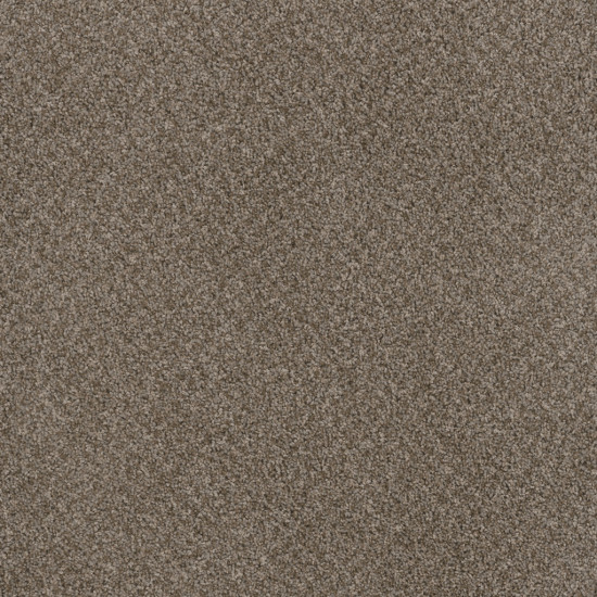 TOAST OF THE TOWN - English Stone TOAST OF THE TOWN - English Stone
